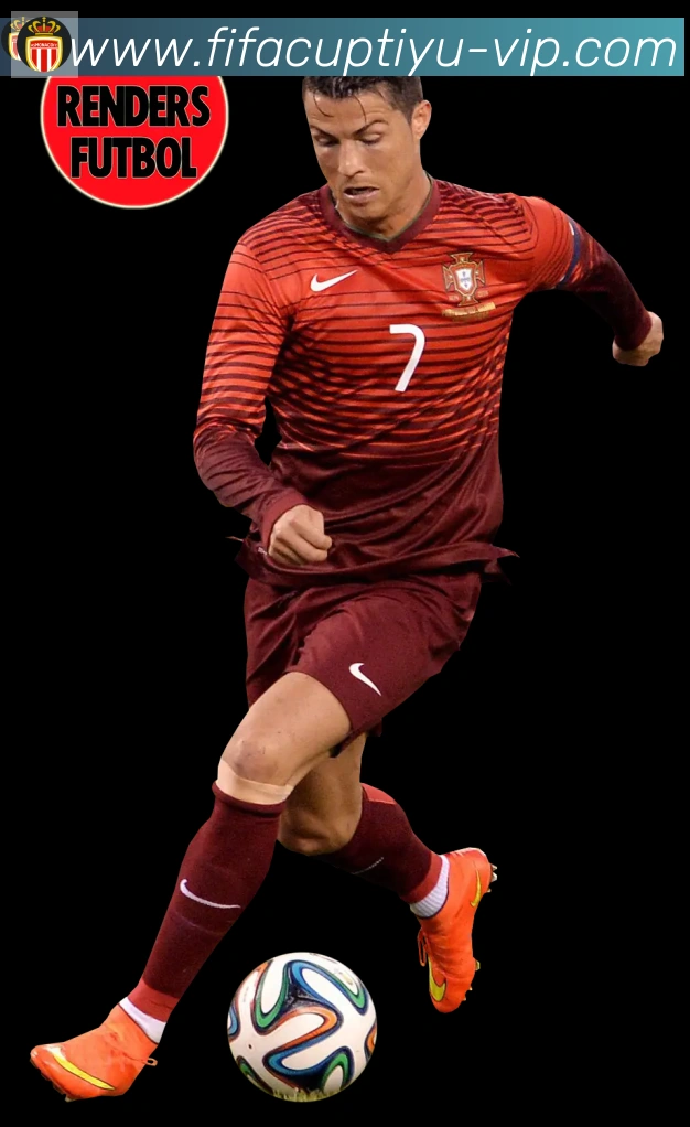 FIFA世界杯体育官方网站服务体系