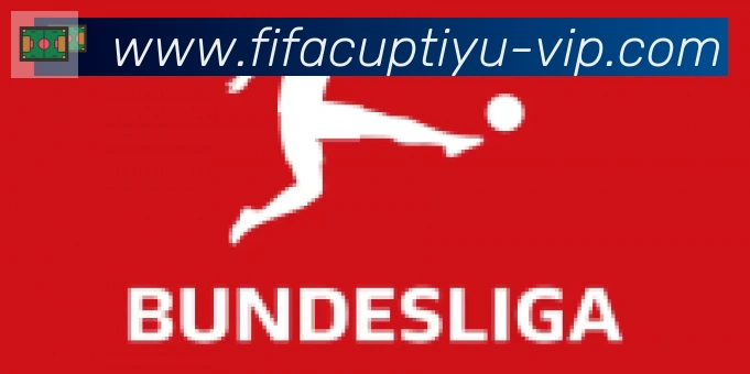 FIFA世界杯体育官方网站合作伙伴